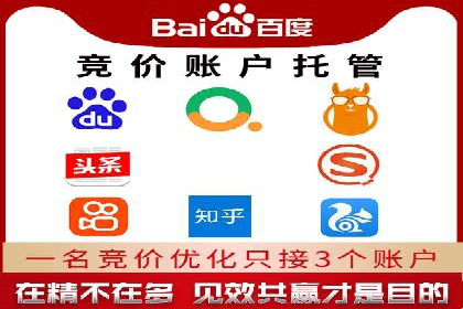 SEM托管服务，实战案例展示营销效果